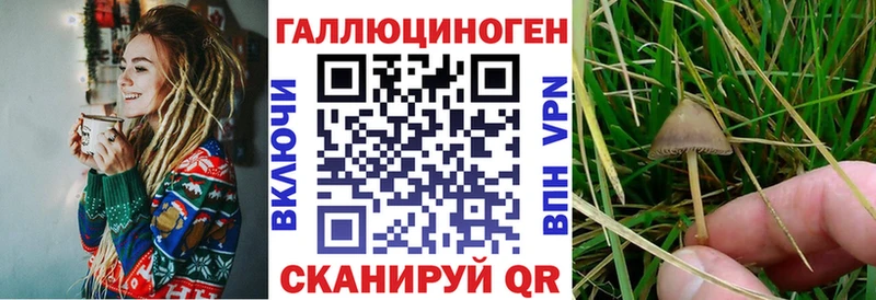 Псилоцибиновые грибы ЛСД  Удачный 