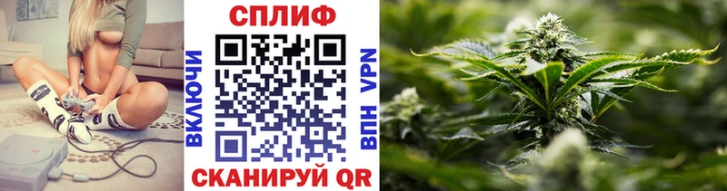 Каннабис OG Kush  Удачный 